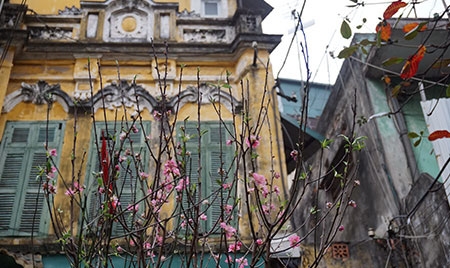 Những nét kiến trúc Pháp cổ kính nổi bật trong tiết trời xuân.