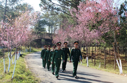 Đường về đơn vị mùa xuân