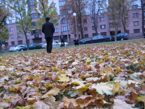 Đầm sen cuối mùa?