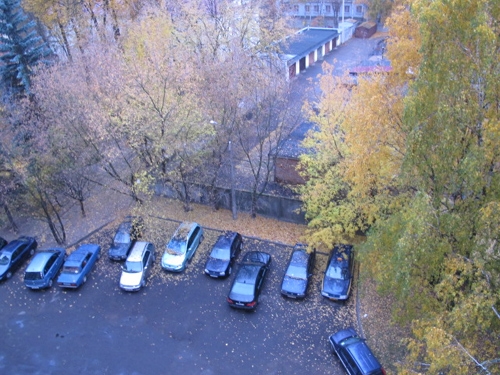 Dù ngày không nắng...