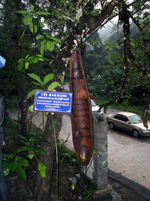 Huyền thoại hang Tám Cô