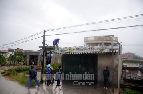 Trước khi bão vào, cán bộ và nhân dân huyện Kim Sơn (Ninh Bình) vẫn tích cực gia cố nhà cửa.