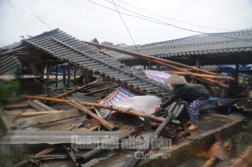 Những thiệt hại đầu tiên do bão số 8 ở Ninh Bình