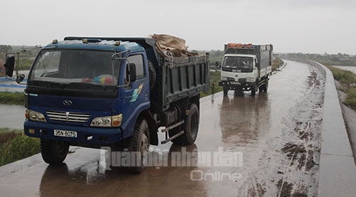 Trong khi nhân dân di dời, chính quyền địa phương đã tập kết vật liệu hộ đê tới các điểm xung yếu, sẵn sàng ứng cứu.