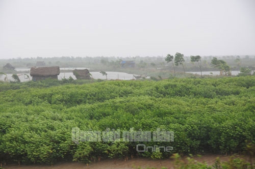 Gió lớn báo hiệu bão bắt đầu đổ bộ.