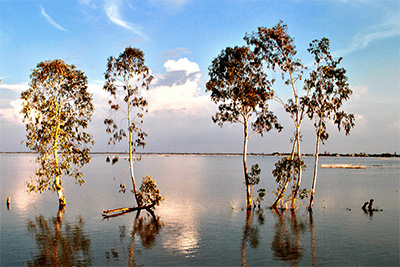 Ngậm ngùi mùa nước nổi