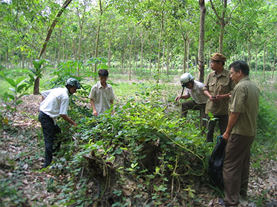 Tìm bố nơi chiến trường xưa