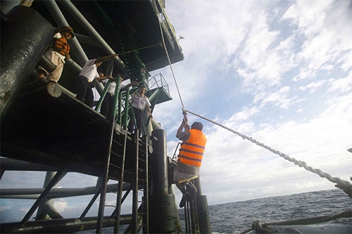 Đu dây lên nhà giàn.