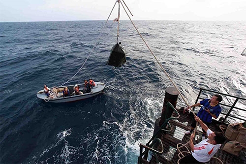 Bộ đội kéo hàng Tết lên nhà giàn