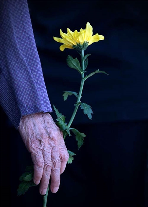 20 giờ 30 phút ngày 10-10, dòng người và hoa vẫn nối hàng dài.