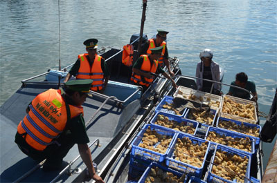 GẮN TRÁCH NHIỆM NGƯỜI ĐỨNG ĐẦU VỚI HIỆU QUẢ CHỐNG BUÔN LẬU