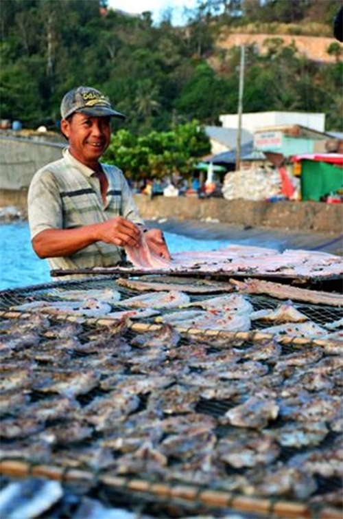 Cách đó không xa, ngư dân sơ chế và đem phơi những “thành quả” của chuyến đánh bắt…