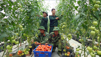 “Vườn lập trình” ở Học viện Lục quân