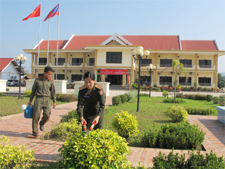 Đẹp lắm “Chăm pa xanh”