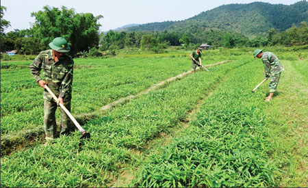 Mầm xanh gửi lại