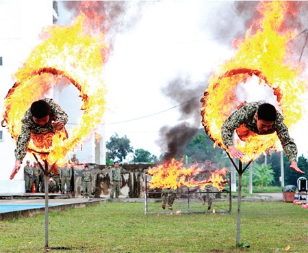 Giáo án biệt động