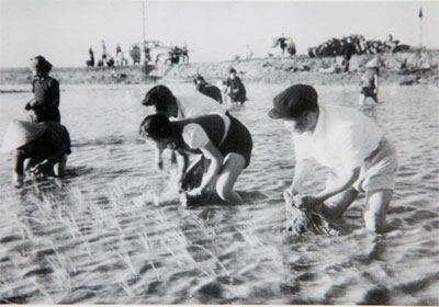 “Đại tướng nông dân”