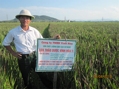 Người “vẽ màu” cho hạt gạo