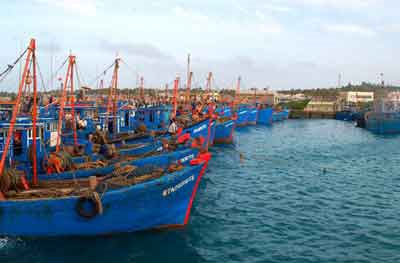 Cảng cá miền Trung nhộn nhịp chờ con nước ra khơi