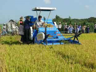 Trên cánh đồng bội thu