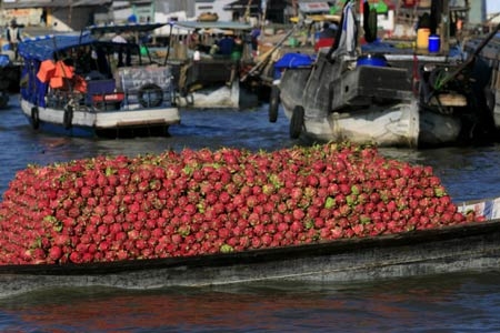 Sản vật đầy ắp ghe nhưng cũng là nỗi lòng nặng trĩu trong cuộc sống mưu sinh của những người dân thương hồ.