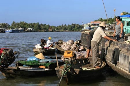 Các ghe lớn, ghe nhỏ ghép lại với nhau như cây cầu qua lại giữa sông. Đây không chỉ là sự “nhờ ghé mạn thuyền” mà là sự gắn bó tình nghĩa thương hồ với nhau.