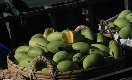 Dưa, xoài, mận, cam, bưởi, thanh long, vú sữa, ổi, hành, ớt, bòn bon… mọi nông sản cây trái Tây Nam Bộ đều có thể tìm thấy ở chợ nổi Cái Răng. Mỗi sản vật là một sắc màu của cuộc sống.