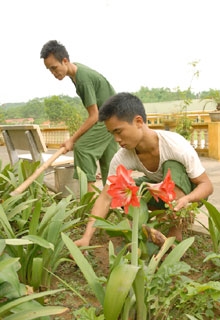 Để có thêm nhiều hoa đỏ...