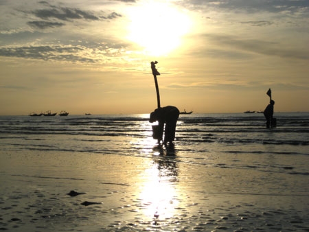 …và người dân đã thức dậy