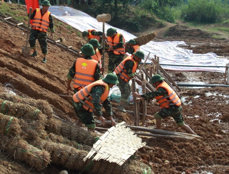 Gia cố thân đê được tiến hành nhanh chóng