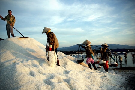 Núi muối mỗi lúc một cao hơn bởi mồ hôi, sức lực của con người đổ xuống.