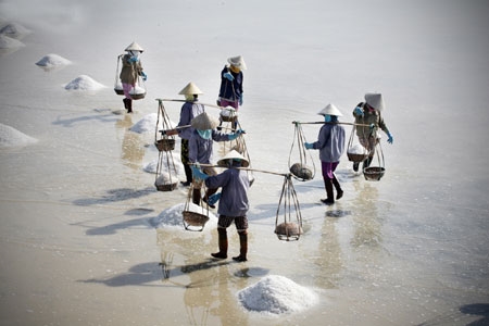 Những phụ nữ với chiếc nón là quẩy đôi quang gánh chừng 30kg muối thoăn thoắt trên ruộng.