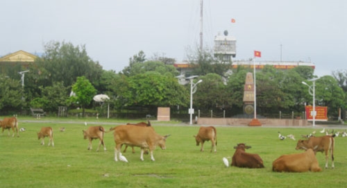 Bình yên giữa trùng khơi