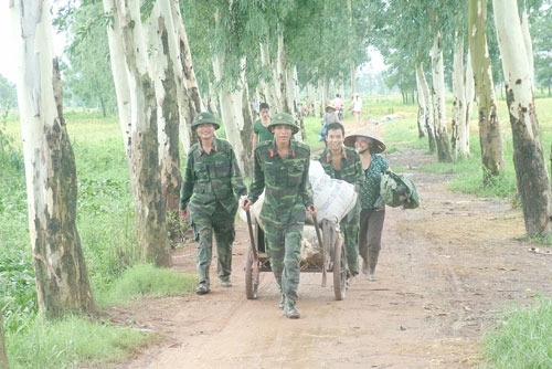 Thóc về nhà, đồng nghĩa với kết quả lao động sớm hôm của người nông dân được bảo đảm