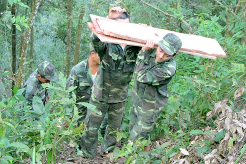 Vận chuyển gỗ xẻ