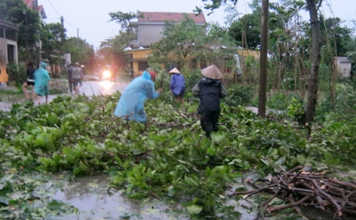 Người dân trên địa bàn tỉnh Hà Tĩnh tranh thủ ra cắt dọn cây để giải phóng lòng đường cho các phương tiện lưu thông.