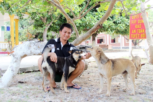 Những chú chó trung thành và thân thiện.