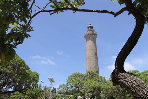 Sức sống song hành.