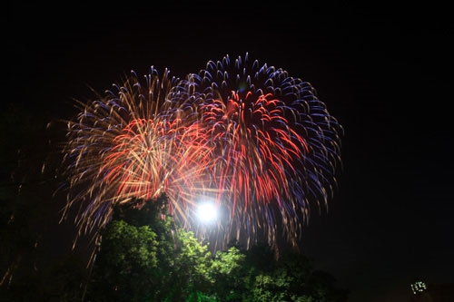 Những bông pháo hoa đầy màu sắc.