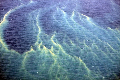 Vệt nghi là vết dầu loang trên biển.