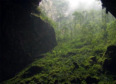 BẢO TỒN, PHÁT HUY GIÁ TRỊ “RỪNG DI SẢN”