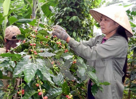 TỔ DÂN PHÒNG “DÂN CỬ, DÂN NUÔI”