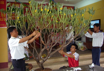 Cán bộ, chiến sĩ đảo Song Tử Tây chuẩn bị cho một mùa Xuân mới.