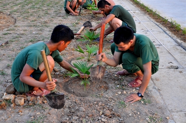 Mỗi lớp chiến sĩ luôn có ý thức chăm sóc những mầm mon. Chiến sĩ Trung đoàn 246, Sư đoàn 346 chăm sóc cây mới trồng