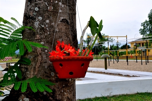 Những chậu hoa đẹp và quý tại Trung đoàn 148 đôi khi là quà của các chiến sĩ ở các miền quê gửi tặng đơn vị.