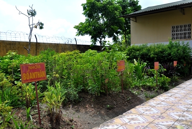 Màu xanh của vườn thuốc nam tại Lữ đoàn 86, Binh chủng Hóa học.