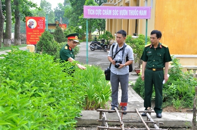 Lữ đoàn 86, Binh chủng Hóa học luôn chú trọng trồng thuốc nam để chăm sóc tốt hơn cho sức khỏe bộ đội mùa nắng nóng